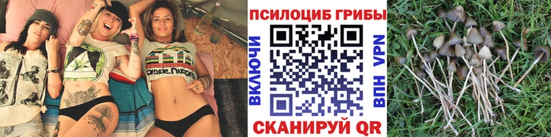 Галлюциногенные грибы мицелий  omg как зайти  Калуга  закладка 