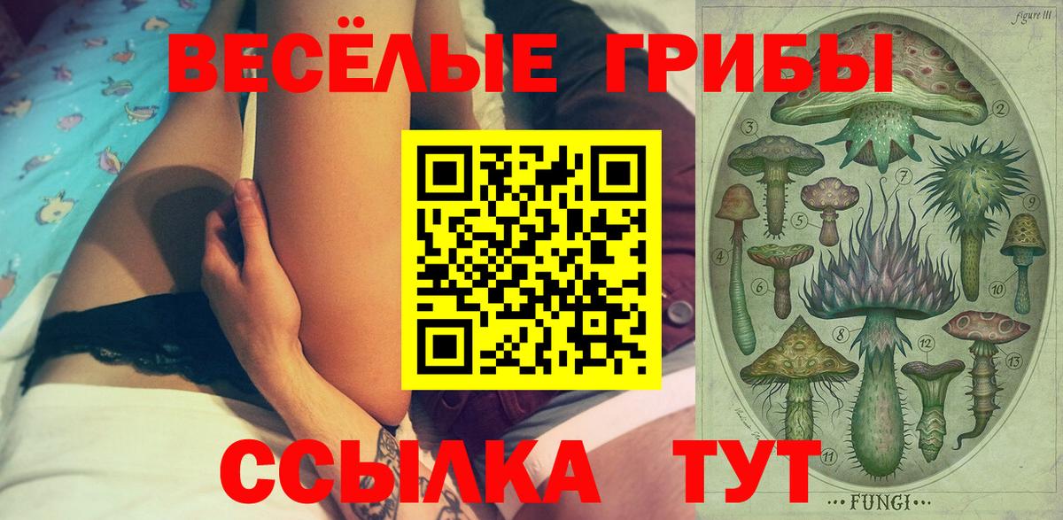 Галлюциногенные грибы MAGIC MUSHROOMS Калуга